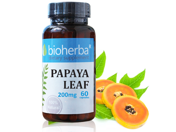 63181959_big-1.jpg ПАПАЯ ЛИСТ 200 МГ, 60 КАПСУЛИ, Биохерба Р - Image 1