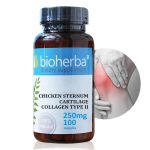 ПИЛЕШКИ КОЛАГЕН ТИП II, 250 МГ, 100 КАПСУЛИ, БИОХЕРБА Р