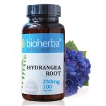 ХОРТЕНЗИЯ КОРЕН, 250МГ, 100 КАПСУЛИ, БИОХЕРБА Р