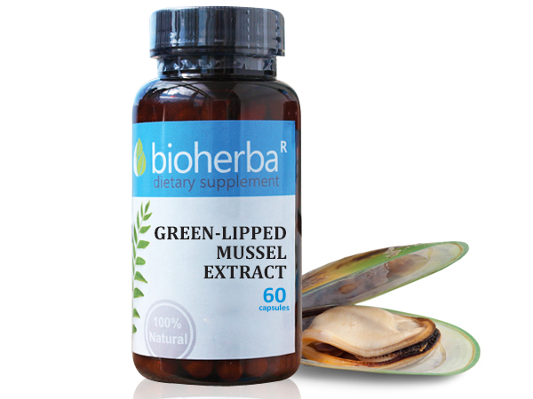 63184283_big-1.jpg GREEN-LIPPED MUSSEL EXTRACT / ЗЕЛЕНОУСТА МИДА ЕКСТРАКТ 60 КАПСУЛИ - Image 1