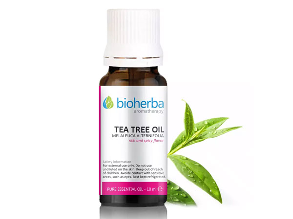 63188402_big-1.jpg МАСЛО ОТ ЧАЕНО ДЪРВО, Tea Tree Oil, БИОХЕРБА, 10мл - Image 1