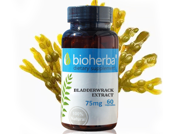 63194307_big-1.jpg МЕХУРЧЕСТО ВОДОРАСЛО ЕКСТРАКТ 75 МГ, 60 КАПСУЛИ, Биохерба Р - Image 1