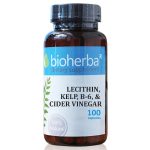 LECITHIN, KELP, B-6, & CIDER VINEGAR 100 CAPSULES/ ОТСЛАБВАНЕ 4 В 1 С ВОДОРАСЛИ 100 КАПСУЛИ