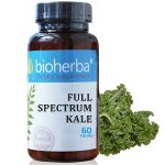 FULL SPECTRUM KALE / КЕЙЛ 60 КАПСУЛИ