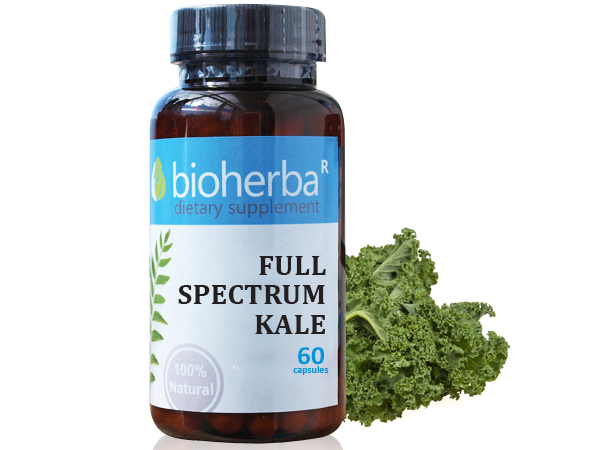63194979_big-1.jpg FULL SPECTRUM KALE / КЕЙЛ 60 КАПСУЛИ - Image 1