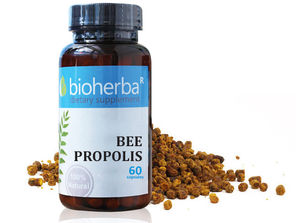 63194980_big-1.jpg BEE PROPOLIS / ПЧЕЛЕН ПРОПОЛИС 60 КАПСУЛИ - Image 1