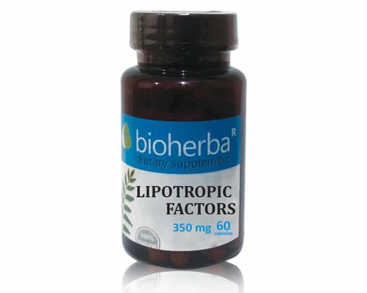 63402332_big-1.jpg ЛИПОТРОПНИ ФАКТОРИ (Lipotropic factors) 350mg, 60 капсули - Image 1