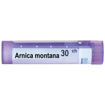 Arnica_montana_30_CH-1.png ARNICA MONTANA 30CH - Image 1