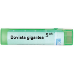 BOVISTA GIGANTEA 5CH