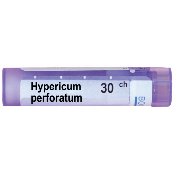 Hypericum_perforatum_30_CH-1.png HYPERICUM PERFORATUM 30CH - Image 1