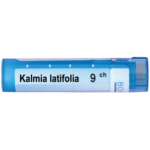 KALMIA LATIFOLIA 9CH