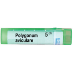 POLYGONUM AVICULARE 5CH