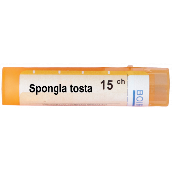 Spongia_tosta_15_CH-1.png SPONGIA TOSTA 15CH - Image 1