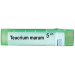 TEUCRIUM MARUM 5CH