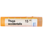 THUYA OCCIDENTALIS 15CH