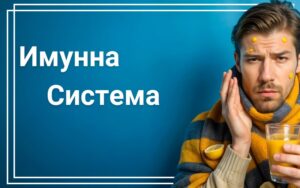 Имунитет Имунната система е защитният механизъм на тялото, който ни пази от различни болести и инфекции. Представете си я като армия от клетки и органи, които работят заедно, за да откриват и неутрализират вредни нашественици като вируси, бактерии и други патогени. Основната задача на имунната система е да разпознава кои клетки и вещества принадлежат на тялото и кои са чужди. Когато открие нещо, което не трябва да бъде в организма, тя веднага задейства процеси, за да го премахне и така ни предпазва от заболявания. Имунната система е важна, защото без нея тялото би било уязвимо към всяка инфекция, дори към такива, които иначе са безобидни. Благодарение на добре функциониращата имунна система, можем да се справяме с настинки, грип и дори с по-сериозни заболявания. Тя също така има способността да "помни" инфекции, с които вече сме се срещали, което ни дава по-бърза и ефективна защита в бъдеще. Основните функции на имунната система включват: Разпознаване на заплахи като вируси и бактерии. Атакуване и унищожаване на тези заплахи. Съхранение на информация за бъдеща защита срещу същите патогени. Тази система е съществена за нашето здраве и благосъстояние, защото ни помага да останем устойчиви срещу всякакви външни заплахи. Компоненти на имунната система Имунната система се състои от множество компоненти, които работят заедно, за да защитават организма от болести. За тях ще разберете в следващите редове. Имунната система се състои от множество компоненти, които работят заедно, за да защитават организма от болести. За тях ще разберете в следващите редове. Бели кръвни клетки (левкоцити): Т-клетки, В-клетки и естествени клетки-убийци Един от основните елементи са белите кръвни клетки, известни още като левкоцити. Те играят ключова роля в борбата срещу инфекциите. Левкоцитите се делят на различни видове, всеки от които има специфична функция. Т-клетките са отговорни за разпознаването и унищожаването на заразени клетки в тялото, както и за регулиране на реакциите на имунната система. В-клетките, от своя страна, произвеждат антитела – специални протеини, които се свързват с патогените и ги неутрализират. Естествените клетки-убийци са вид Т-клетки, които директно атакуват и унищожават заразени или ракови клетки. Лимфна система: лимфни възли, слезка, тимус Друг важен компонент на имунната система е лимфната система, която представлява мрежа от органи и съдове, които транспортират лимфа – течност, съдържаща имунни клетки през тялото. Лимфните възли са малки структури, разположени по цялото тяло, където имунните клетки се събират и активират при наличие на инфекция. Слезката и тимусът също са важни органи – слезката филтрира кръвта и помага за борбата с инфекциите, докато тимусът е мястото, където Т-клетките съзряват и се подготвят за действие. Антитела и тяхната роля в имунната памет Антителата, произведени от В-клетките, са съществени за т.нар. имунна памет. Когато тялото се срещне с патоген, антителата се свързват с него и помагат за унищожаването му. След като инфекцията бъде победена, някои от тези В-клетки остават в тялото в готовност за бъдещи атаки. Това означава, че ако същият патоген се появи отново, имунната система ще реагира по-бързо и по-ефективно, защото "помни" предишния сблъсък. Тези компоненти работят заедно, за да гарантират, че тялото ни е винаги готово да се защити от болести и инфекции. Как работи имунната система Имунната система работи на няколко основни етапа, за да защити тялото от вредни микроорганизми като вируси и бактерии - разпознаване на заплахата, активация на имунните клетки, атака и елиминиране на патогена, фаза на паметта. 1.Разпознаване на заплахата Първият етап е разпознаването на заплахата. Когато патоген, като вирус или бактерия, навлезе в организма, имунната система трябва първо да го разпознае като чужд и потенциално опасен. Тази функция се изпълнява от специализирани клетки, които търсят "антигени" – уникални молекули на повърхността на патогена, които го отличават от нормалните клетки в тялото. 2.Активация на имунните клетки След като заплахата бъде идентифицирана, започва вторият етап – активация на имунните клетки. Тук ключова роля играят Т-клетките и В-клетките. Те се активират и започват да се размножават, за да осигурят достатъчно "войници" в борбата срещу инфекцията. В този процес се произвеждат и антитела, които се свързват с патогена и го неутрализират. 3.Атака и елиминиране на патогена Третият етап е атаката и елиминирането на патогена. Активираните имунни клетки директно атакуват инфектираните клетки или използват антитела, за да предотвратят разпространението на патогена. Тази фаза продължава, докато инфекцията бъде напълно унищожена и тялото отново е в безопасност. 4.Фаза на паметта Последният етап е т.нар. фаза на паметта. След като патогенът бъде унищожен, някои от имунните клетки остават в тялото като "паметни клетки". Те съхраняват информация за конкретния патоген, което позволява на имунната система да реагира по-бързо и ефективно, ако същият патоген се появи отново. Например, при настинка, когато вирус навлезе в тялото, имунната система го разпознава, активира клетките си и започва да го атакува. След като вирусът бъде победен, тялото "запомня" инфекцията, така че следващия път да реагира по-бързо. Тази способност за бърза реакция е основата на естествения ни имунитет и играе ключова роля в защитата ни от бъдещи заболявания. Вроден и придобит имунитет Имунната система може да бъде разделена на два основни типа: вроден и придобит имунитет. Вроденият имунитет е тази част от имунната система, с която се раждаме. Придобитият имунитет, от друга страна, се развива с времето и е много по-специфичен. Разлика между вроден и придобит имунитет Вроденият имунитет е като първа линия на защита и реагира бързо на всяка потенциална заплаха. Той не е специфичен, което означава, че не разпознава конкретни патогени, а реагира на всички възможни нашественици по един и същ начин. Примери за вроден имунитет включват кожата, която служи като физическа бариера срещу микроби, както и възпалителната реакция, която се появява при рана или инфекция. Придобитият имунитет се формира, когато тялото се срещне с определен патоген и "се научи" как да го разпознава и неутрализира. Този тип имунитет включва Т-клетките и В-клетките, които съхраняват информация за патогени и могат да реагират много по-бързо при повторно заразяване. Пример за придобит имунитет е, когато човек се възстанови от болест като шарка – след това тялото му "помни" вируса и е подготвено да го атакува при нова среща. Ваксините също действат на този принцип – те учат имунната система как да реагира на конкретен патоген, без да причиняват заболяване. Докато вроденият имунитет действа незабавно и се активира при всякакви заплахи, придобитият имунитет е по-селективен и осигурява дългосрочна защита. Комбинацията от тези два типа имунитет гарантира, че тялото ни е защитено както срещу обичайни, така и срещу специфични инфекции, които срещаме през живота си. Значение на имунната система Имунната система играе ключова роля в поддържането на нашето здраве, като постоянно ни защитава от вредни микроорганизми като вируси, бактерии и гъбички. Тя действа като сложна мрежа от клетки и органи, които работят заедно, за да разпознават и неутрализират всякакви заплахи, които могат да застрашат организма ни. Без ефективно функционираща имунна система дори обикновени инфекции могат да станат сериозни и животозастрашаващи. Затова поддържането на здрава имунна система е от изключително значение за общото ни здраве и благополучие. Когато имунната система работи правилно, тя е способна бързо и ефективно да се справи с инфекциите и да предотврати развитието на заболявания. Въпреки това, понякога може да се появят нарушения, които водят до различни здравословни проблеми. Например, при автоимунни заболявания, имунната система погрешно атакува здрави клетки на тялото, мислейки, че те са чужди. Това може да доведе до състояния като ревматоиден артрит, лупус или множествена склероза, които сериозно влошават качеството на живот. От друга страна, ако имунната система е отслабена или не функционира правилно, може да се развият имунодефицитни състояния. В такива случаи тялото става по-уязвимо към инфекции, които в нормални условия биха били лесно преодолени. Пример за това е ХИВ/СПИН, при който вирусът директно атакува и унищожава имунните клетки, оставяйки тялото почти беззащитно срещу инфекции и някои видове рак. Здравата имунна система е като страж на нашето тяло, която работи неуморно, за да поддържа баланса и да ни защитава от външни и вътрешни заплахи. Поддържането на този баланс е ключово за предотвратяване на редица заболявания. Поддържане на здрава имунна система Поддържането на здрава имунна система е ключово за защитата на тялото ни от болести и инфекции. Има няколко основни фактора, които играят важна роля за добрия имунитет, и които можем лесно да включим в ежедневието си. Основни фактори за добър имунитет 1.Разнообразно хранене Първо, храненето е от съществено значение. Балансираната диета, богата на витамини и минерали, като витамин С, витамин D, цинк и антиоксиданти, помага на имунната система да функционира оптимално. Консумирането на разнообразни плодове и зеленчуци, пълнозърнести храни и здравословни мазнини може да подпомогне имунната ни система в борбата с патогените. 2.Пълноценен сън Второ, сънят играе критична роля за възстановяването и поддържането на имунната система. Недостигът на сън може да доведе до намалена способност на тялото да се бори с инфекции. Препоръчва се възрастните да спят между 7 и 9 часа на нощ, за да осигурят на тялото достатъчно време за възстановяване. 3.Физическа активност Физическата активност също е важна за здравата имунна система. Редовните упражнения подобряват циркулацията на кръвта, което улеснява пренасянето на имунните клетки в тялото и ги прави по-ефективни в борбата срещу болести. Дори умерена физическа активност, като ходене или йога, може да има положителен ефект върху имунитета. 4.Стрес Стресът е още един фактор, който може да повлияе на имунната система. Дългосрочният стрес може да отслаби имунната реакция и да увеличи риска от заболявания. Затова е важно да се намерят начини за управление на стреса, като например медитация, дълбоко дишане, или занимания, които ни носят удоволствие и релакс. Защо да изберем Аптеката.онлайн Аптеката Онлайн е онлайн аптека, в която са подбрани редица медикаменти, хранителни добавки, различни лекарствени продукти и т.н.,  включително лекарства за лечение и профилактика на грип. Те помагат за предпазване от вируси или за лечение на вирусни инфекции. Можете да получите безплатна доставка и да пазарувате по всяко едно време от денонощието, всеки ден от седмицата, месеца или годината.