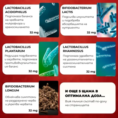 nuvita пробиотик – ключови щамове: Lactobacillus acidophilus, plantarum, rhamnosus; Bifidobacterium lactis, longum; 32 mg всеки, общо 10 щама.